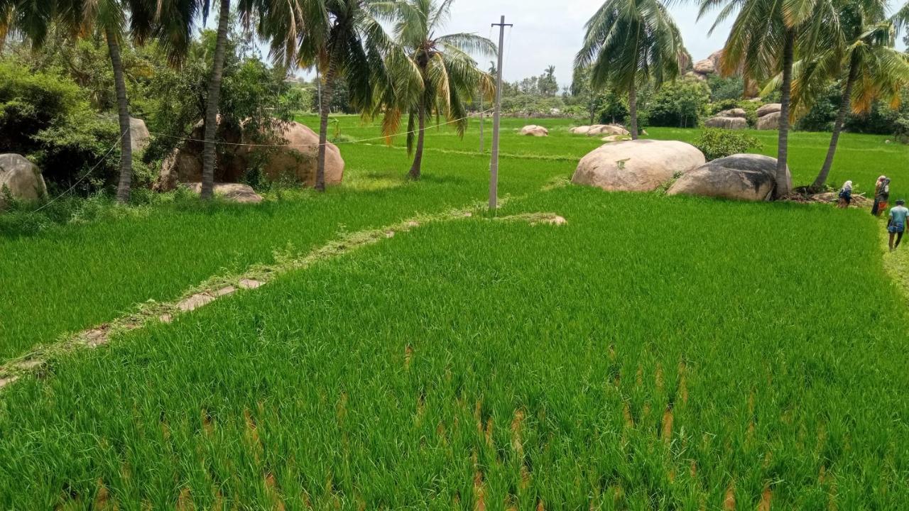 Gopi Plantation Homestay Hampi Ngoại thất bức ảnh