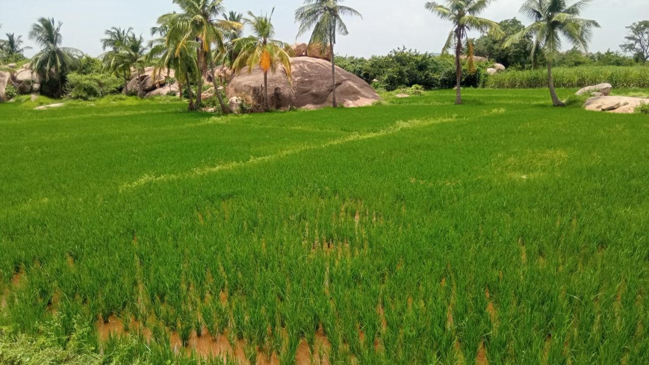 Gopi Plantation Homestay Hampi Ngoại thất bức ảnh