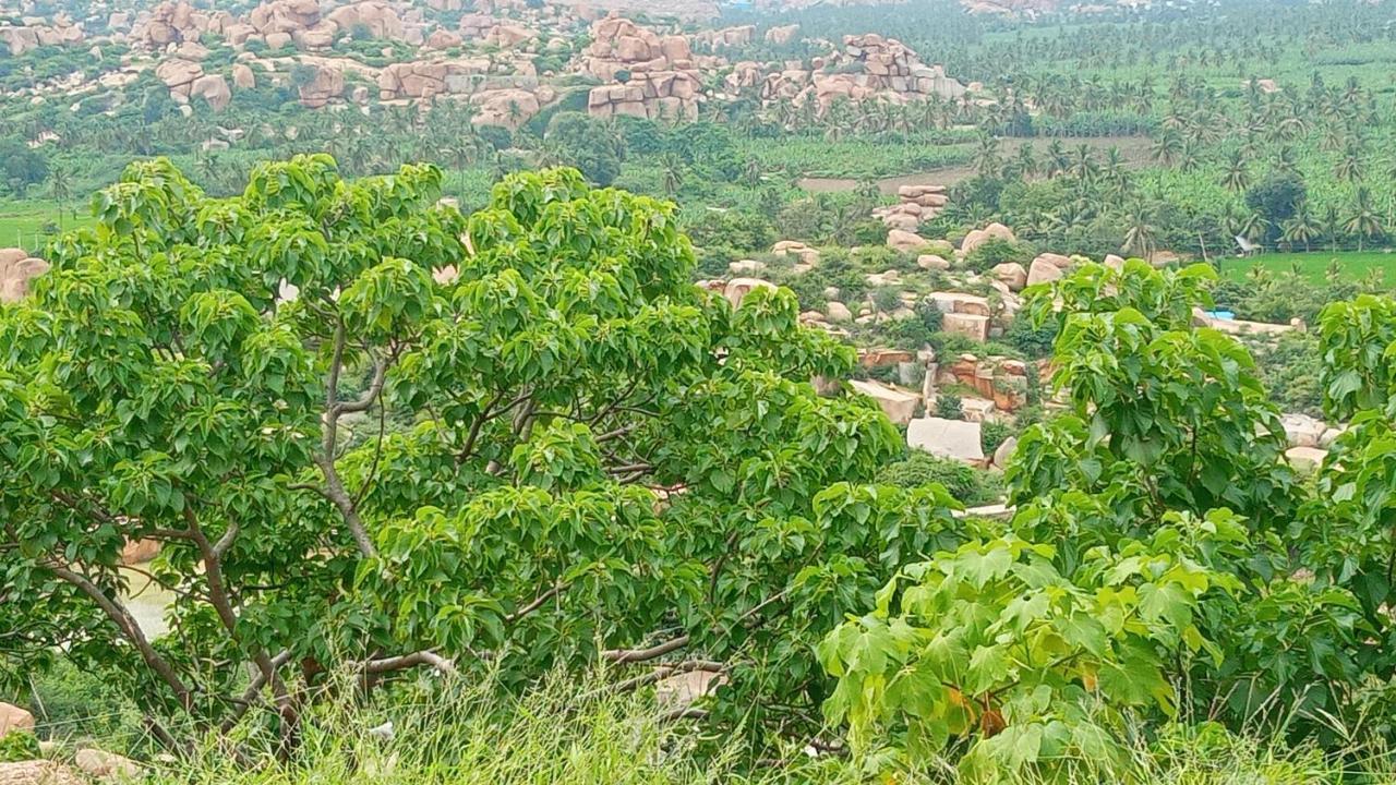 Gopi Plantation Homestay Hampi Ngoại thất bức ảnh