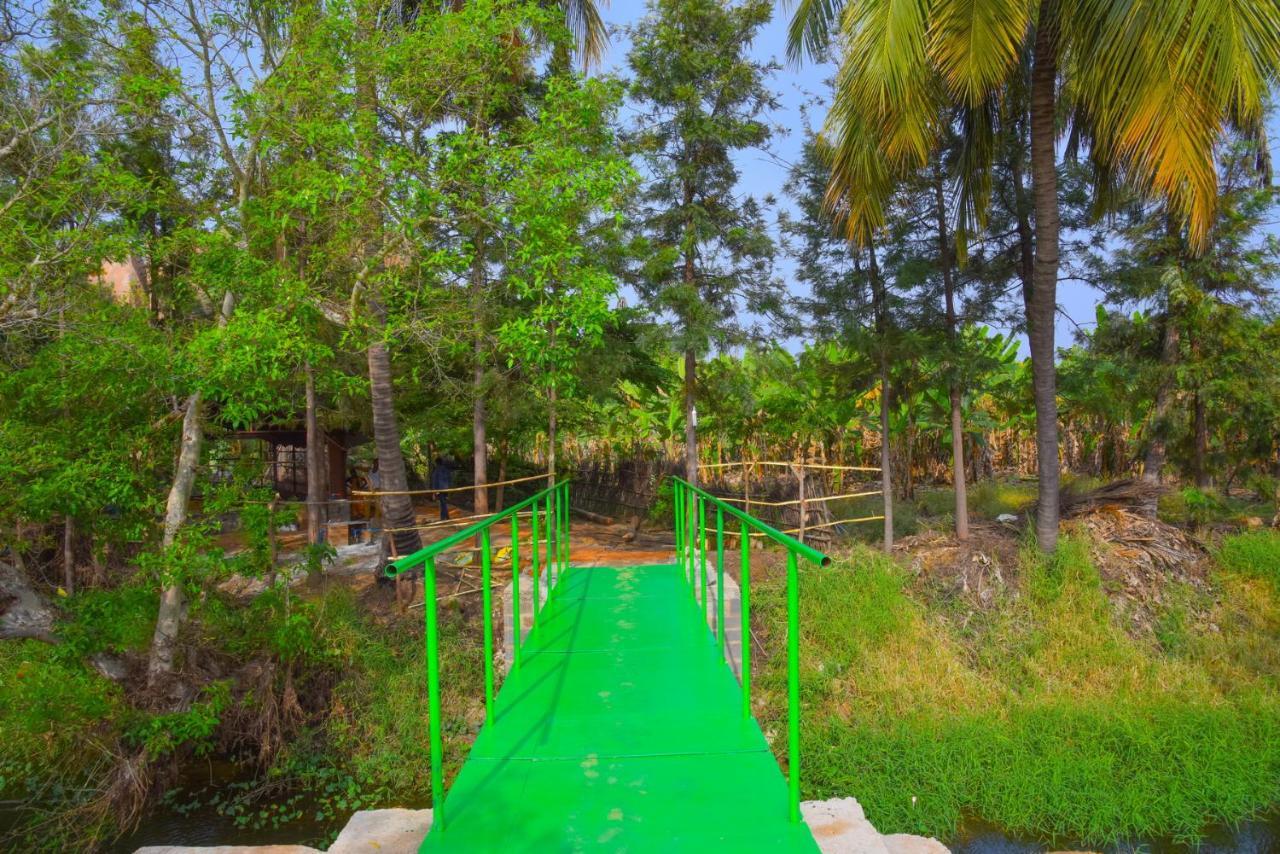 Gopi Plantation Homestay Hampi Ngoại thất bức ảnh